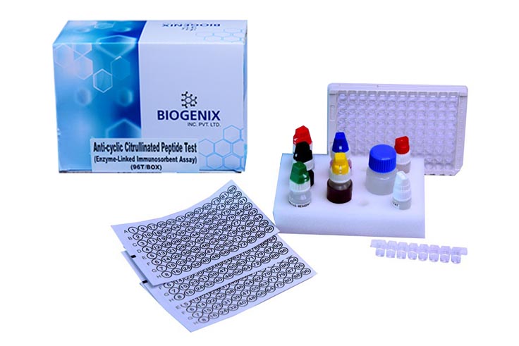 Anti CCP ELISA Kit
