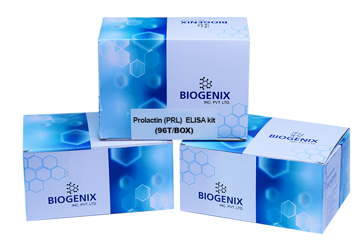Prolactin (PRL) ELISA Kit